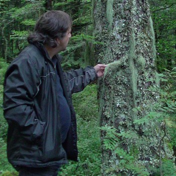 Die Mittelspitz von der Rosteige im Wald in der Auvergne 02
