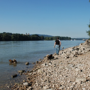 Die Mittelspitze von der Rosteige - Urlaub an der Donau in sterreich und Ungarn 06