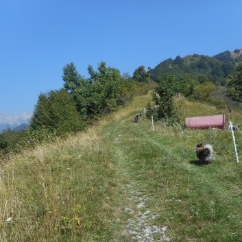 Die Mittelspitze von der Rosteige auf dem Berg Kopala in Slowenien 09