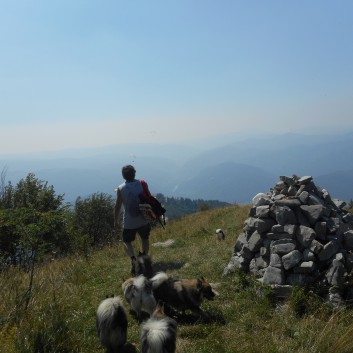 Die Mittelspitze von der Rosteige auf dem Berg Kopala in Slowenien 20