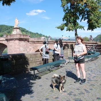 Mittelspitz Aragon von der Rosteige zu Besuch in Heidelberg 14