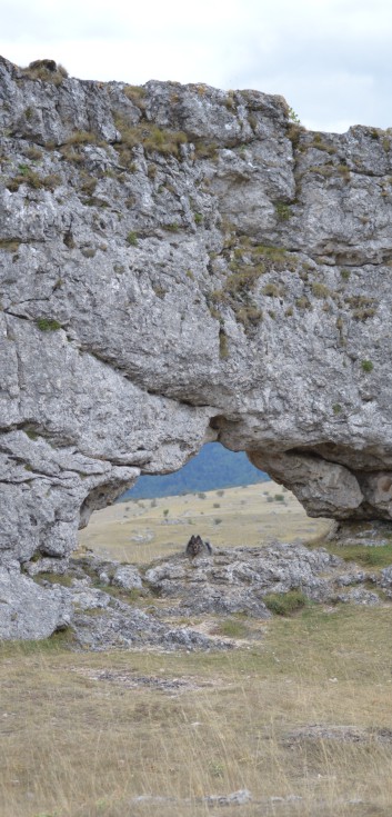 Mittelspitze von der Rosteige am Gorges Du Tarn 2017 - 232