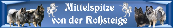 www.mittelspitz.info