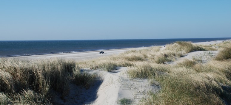 Vejers Strand in Dnemark mit den Mittelspitzen von der Rosteige 24
