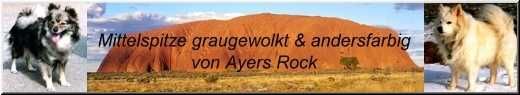 Banner Zuchtstätte Mittelspitze von Ayers Rock