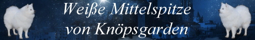 Banner--Mittelspitze-von-Knoepsgarden