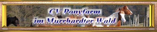 www.cv-ponyfarm.de