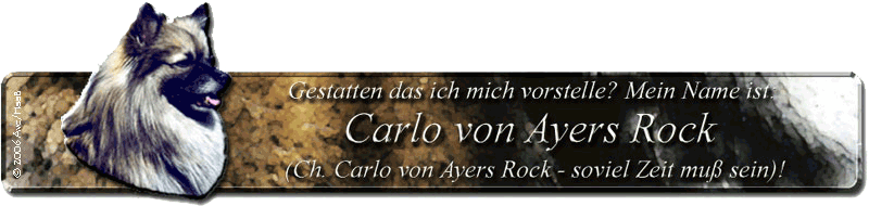Banner Mittelspitz Carlo von Ayers Rock