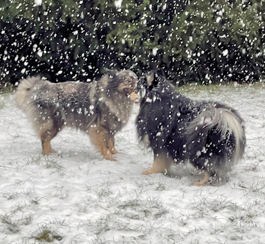 Deckakt-Hochzeit-Mittelspitze-K2-01