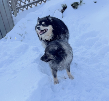 Deckakt-Hochzeit-Mittelspitze-K2-02