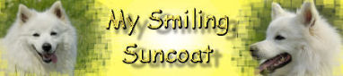 www.smiling-suncoat.de