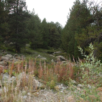 Urlaub mit Spitzen in den Pyrenäen im September 2010 - 24