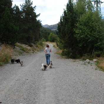 Urlaub mit Spitzen in den Pyrenäen im September 2010 - 25